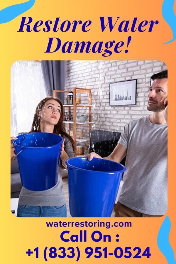 water restoration Trusted Sewage Cleanup Pros Gibson City
